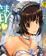 中国翻訳工口漫画