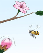 里番本子邪恶漫画