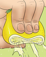 里番本子邪恶漫画