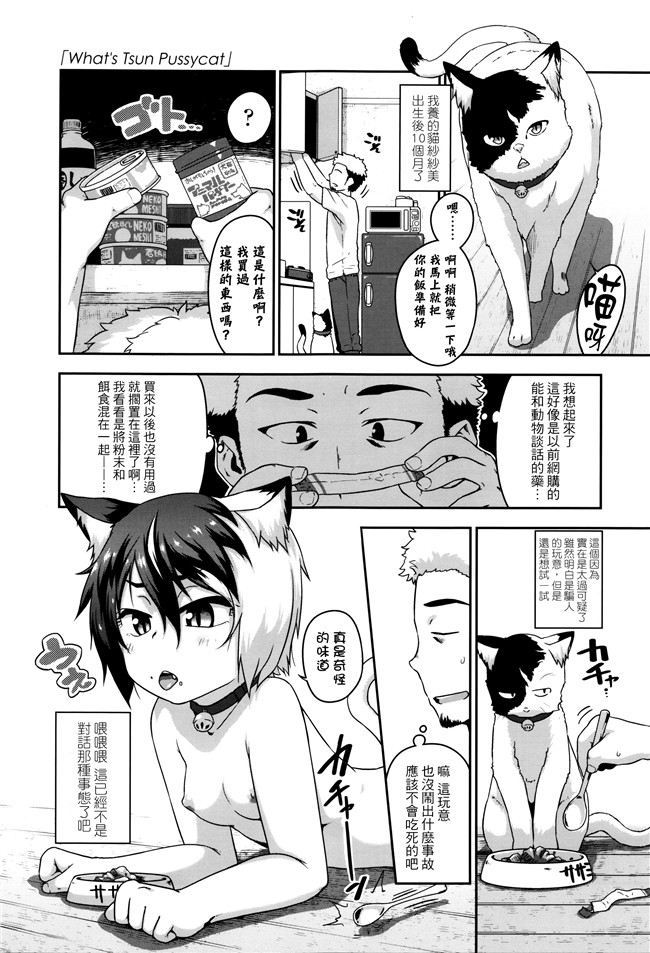 [チグチミリ]日本漫画里番本子之ショーゴビート + 8Pリーフレット