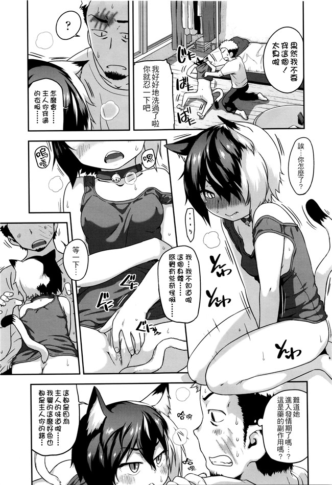 [チグチミリ]日本漫画里番本子之ショーゴビート + 8Pリーフレット