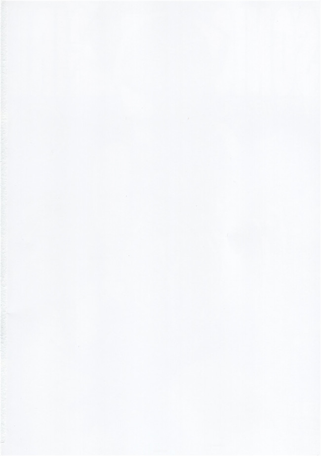 ソ二ックガール汗汗漫画大全之[弾丸ハ二ィ] SONIC GIRL