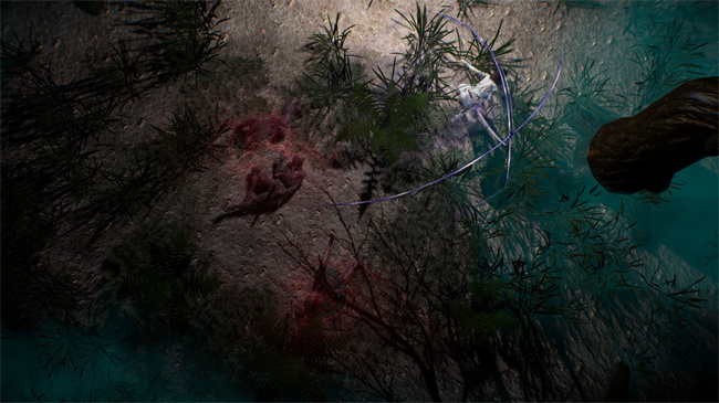 [3D]本子之仙子玉露