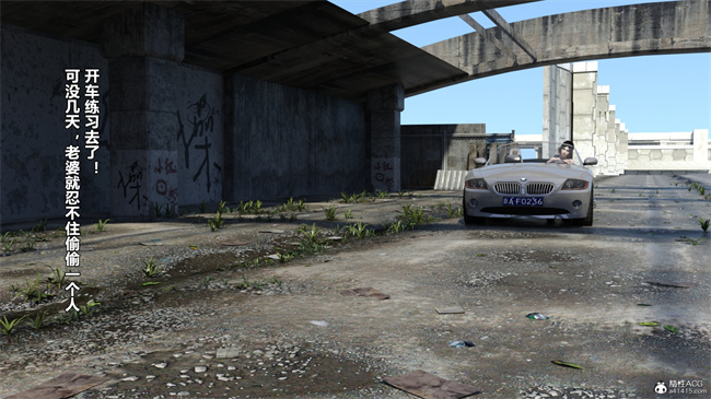 [3D]漫画私下解决之都是驾照惹的祸