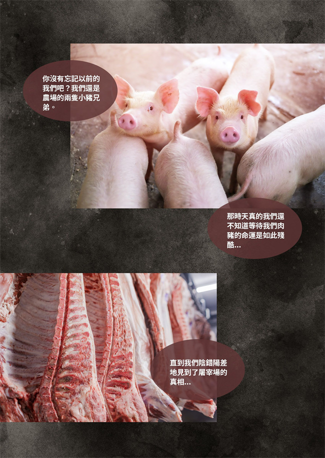 里番acg全彩本子之聖光夏洛特5