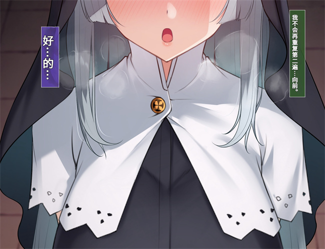 邪恶帝之シスタークロエの祓魔報告―淫魔に敗北した姉さんは皆の前で再び辱められる