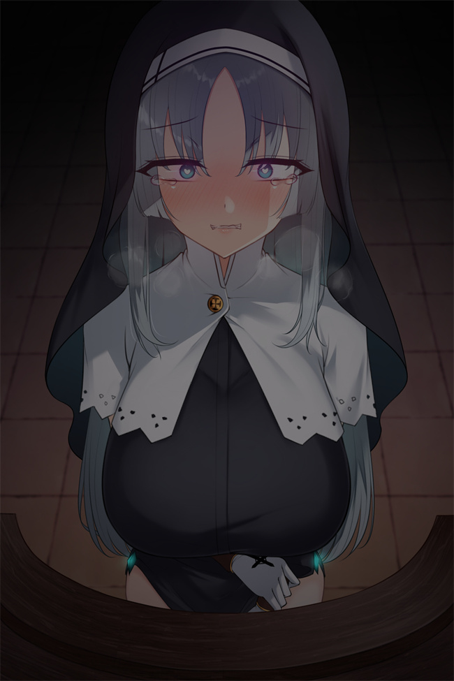 邪恶帝之シスタークロエの祓魔報告―淫魔に敗北した姉さんは皆の前で再び辱められる