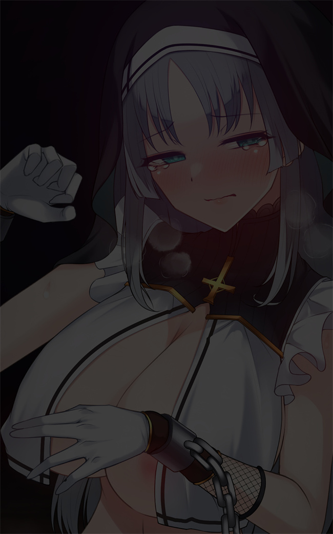 邪恶帝之シスタークロエの祓魔報告―淫魔に敗北した姉さんは皆の前で再び辱められる