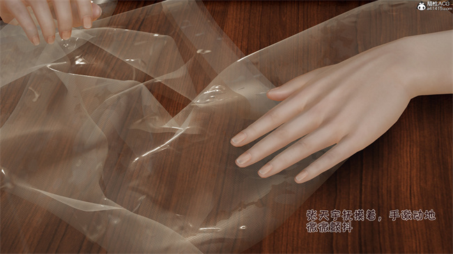 爱女与奴隶游戏第8话-丝袜大盗