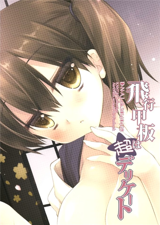 邪恶少女漫画之舰娘本子福利[ D . N . A . Lab .]飞行甲板超微妙