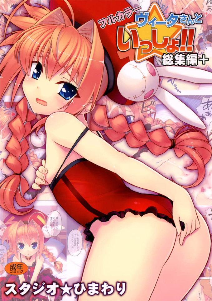 动漫本子之魔法少女维塔酱本子ヴィータさんと一緒 総集編プラス