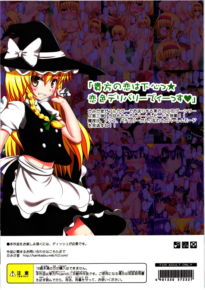 工口漫画之爱丽丝全彩h本子[かみか堂 (銀曜ハル)] 東方のエロゲー3