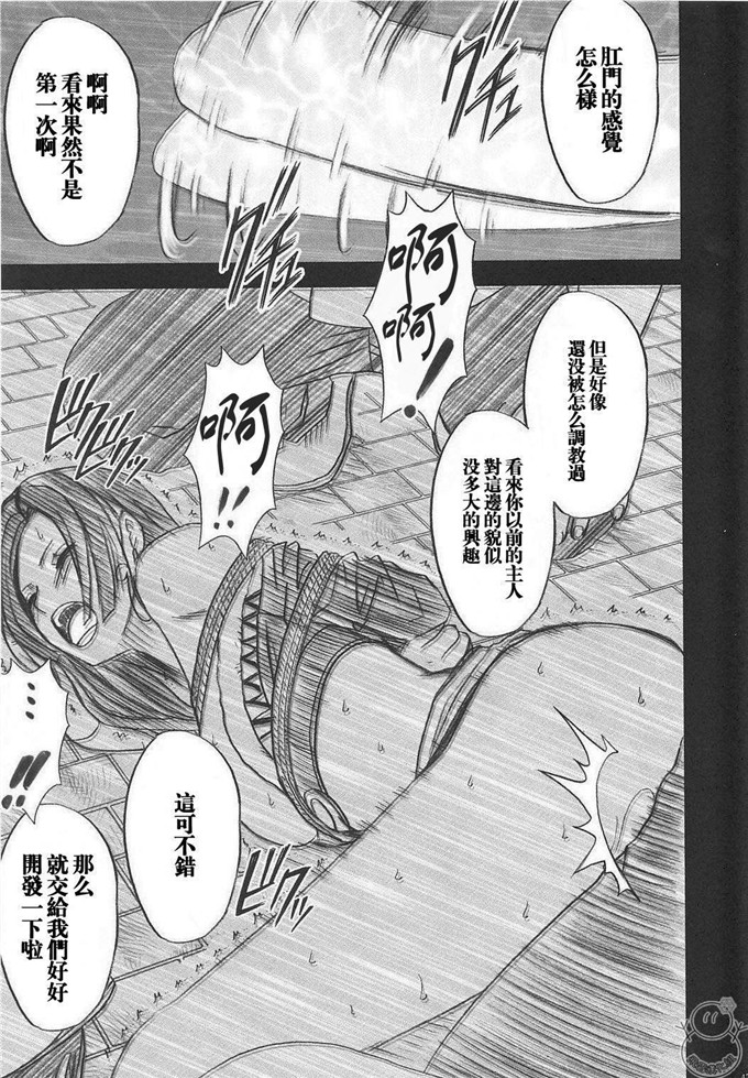 动漫本子之海贼王蛇姬调教h本子