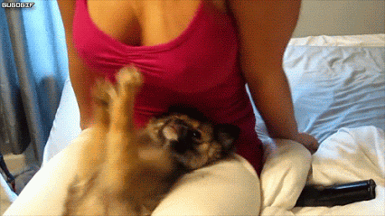 男生撸管专用动态图 男生撸管专用动态图 美女被叉叉的动态图片