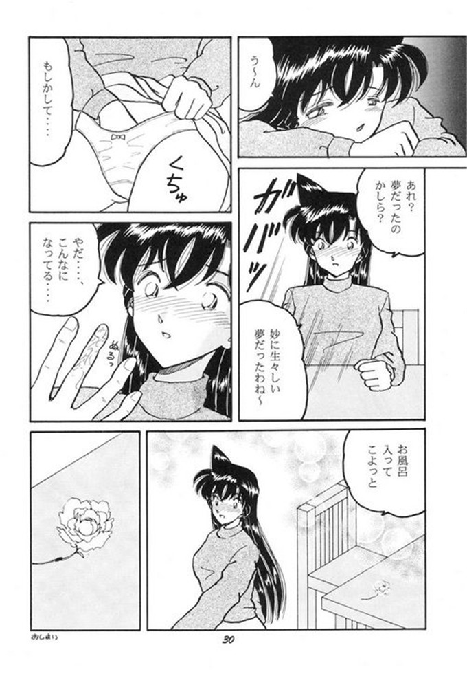 动漫本子之柯南同人Hoheto_28（日文）
