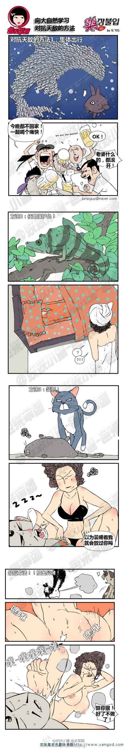 乐张不入第10集：大自然的力量