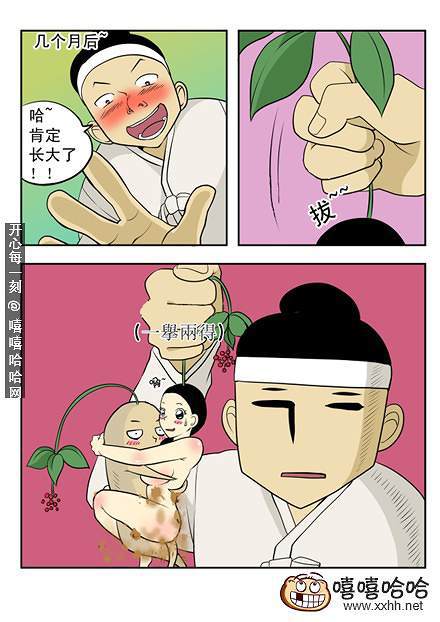 新鲜芒果：幸运的一天