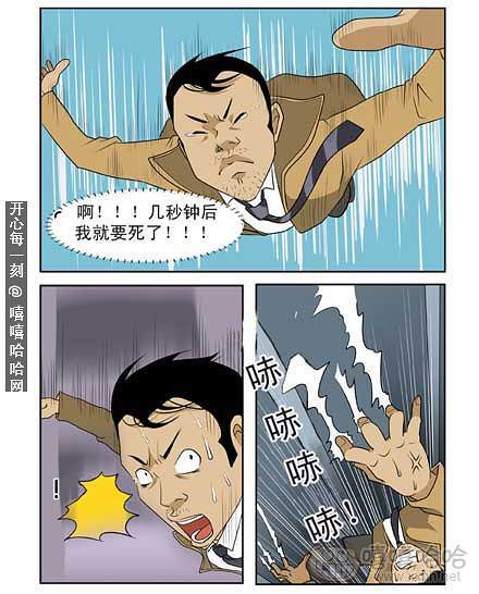 新鲜芒果：人寿丰年