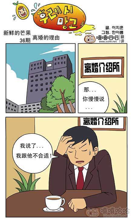 新鲜芒果：离婚的理由