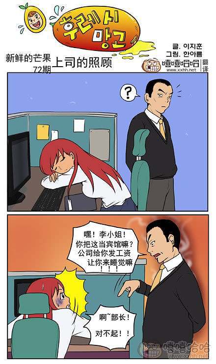 新鲜芒果：上司的照顾