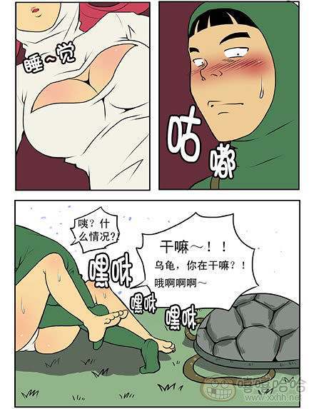 新鲜芒果：乌龟和兔子