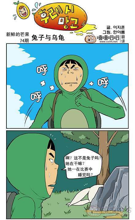 新鲜芒果：乌龟和兔子