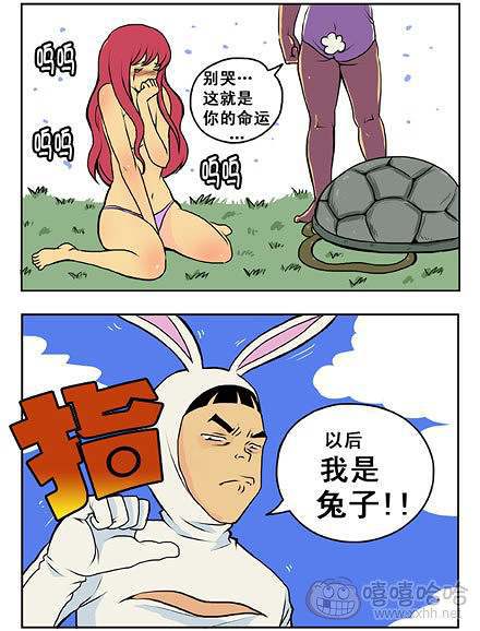 新鲜芒果：乌龟和兔子