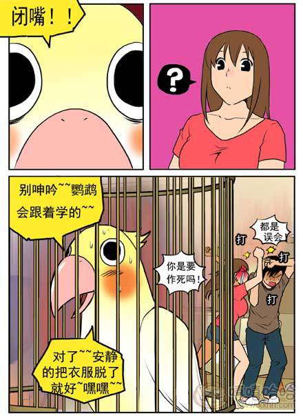 新鲜的芒果：鹦鹉