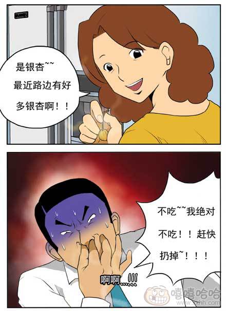 新鲜的芒果：银杏果