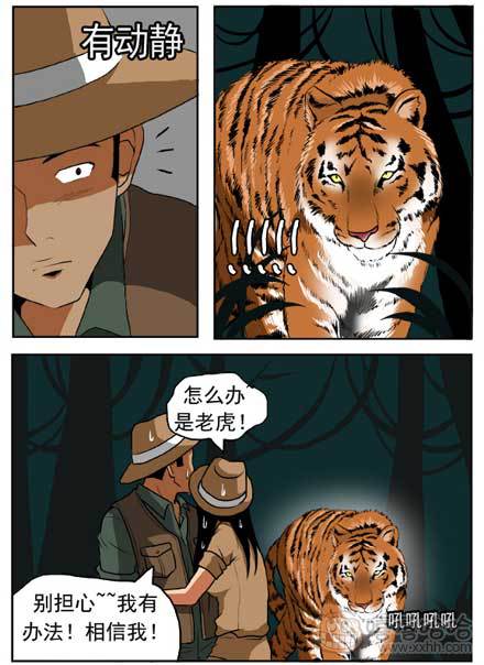 新鲜的芒果：老虎