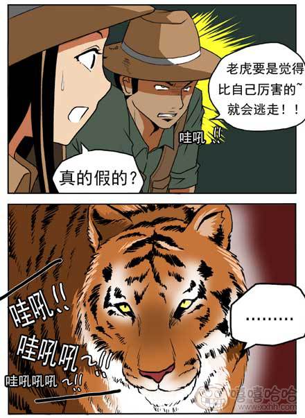 新鲜的芒果：老虎