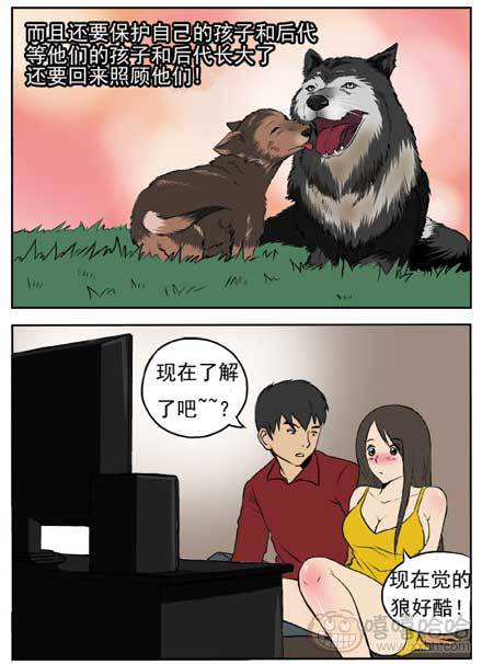  新鲜的芒果：狼