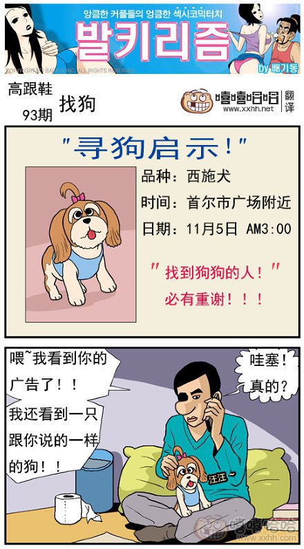 高跟鞋：寻狗启示