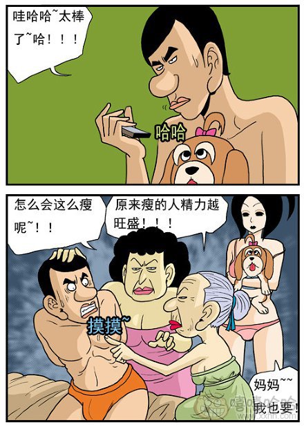 高跟鞋：寻狗启示