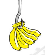 请叫我小纯洁：保