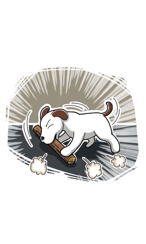 第260话：流浪狗