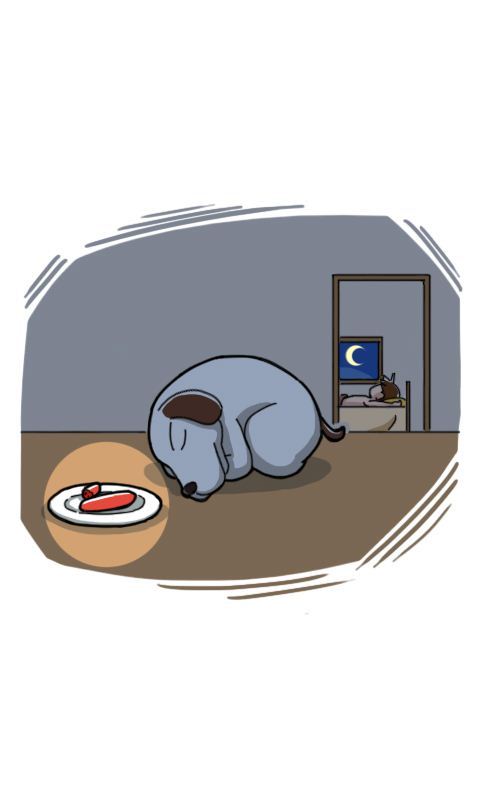 第260话：流浪狗