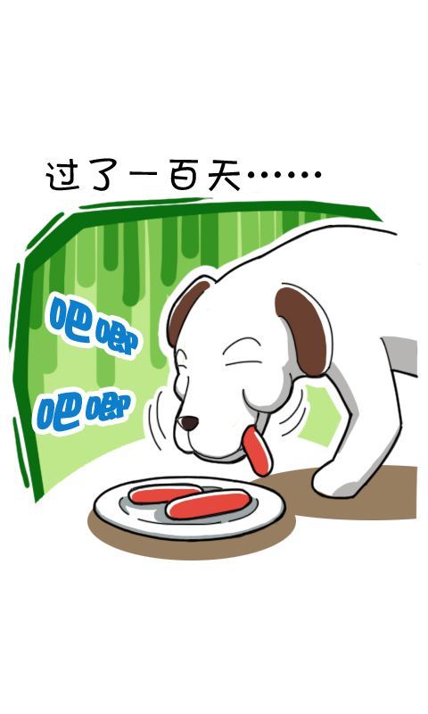 第260话：流浪狗