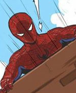 一般不扯淡：蜘蛛