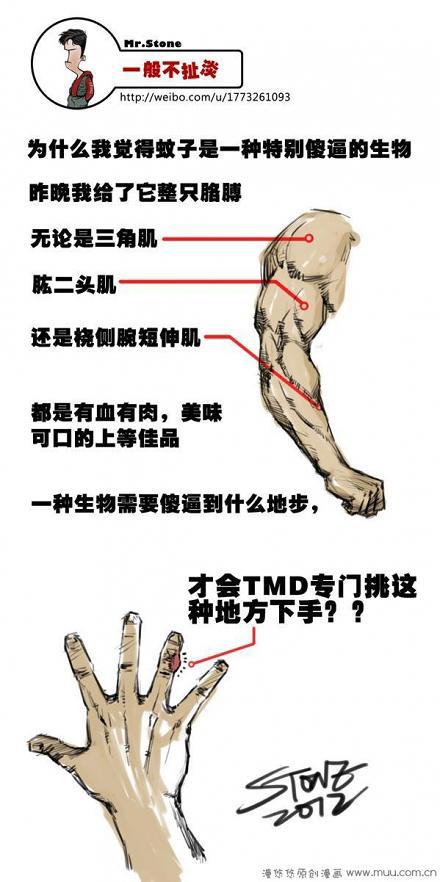 一般不扯淡：蚊哥送红包
