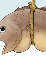 邪恶漫画不是那样