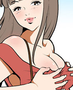 色系军团透光贴膜