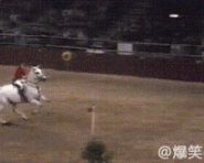 好厉害的马，这一