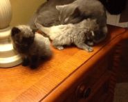 到底是不是亲生的