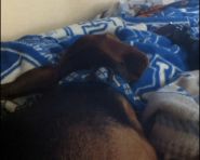 真的？明天放假？