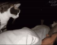 主银主银，快醒醒