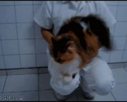 来，跟着我这样做