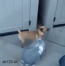 我很想知道他两的