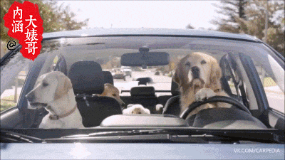 男人嘛！即使老婆