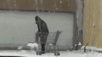 这基本上已和智商